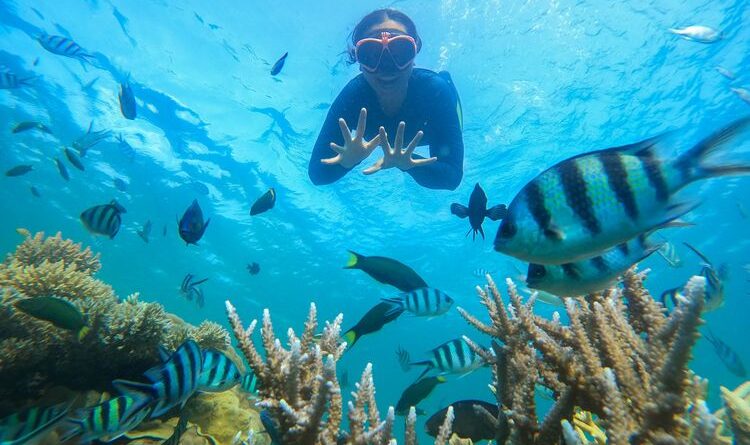 Trik Snorkeling Yang Tepat Bagi Para Pemula