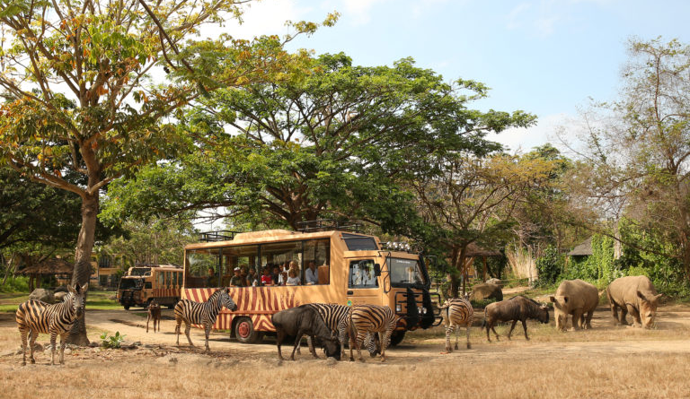 Taman Safari Dan Kebun Binatang, Apa Bedanya?