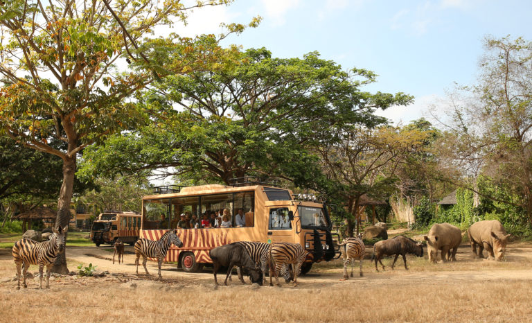 Taman Safari Dan Kebun Binatang, Apa Bedanya?