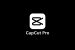 CapCut Pro