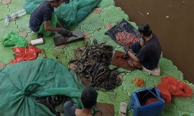 Abon Ikan Sapu‑Sapu Ternyata Punya Kandungan Protein Tinggi