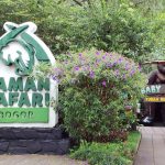 Taman Safari Bogor Destinasi Keluarga Paling Menarik