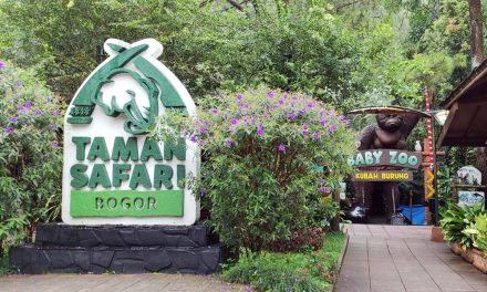 Taman Safari Bogor Destinasi Keluarga Paling Menarik