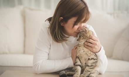 Mitos Bulu Kucing Yang Menyebabkan Seseorang Mandul