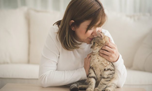 Mitos Bulu Kucing Yang Menyebabkan Seseorang Mandul