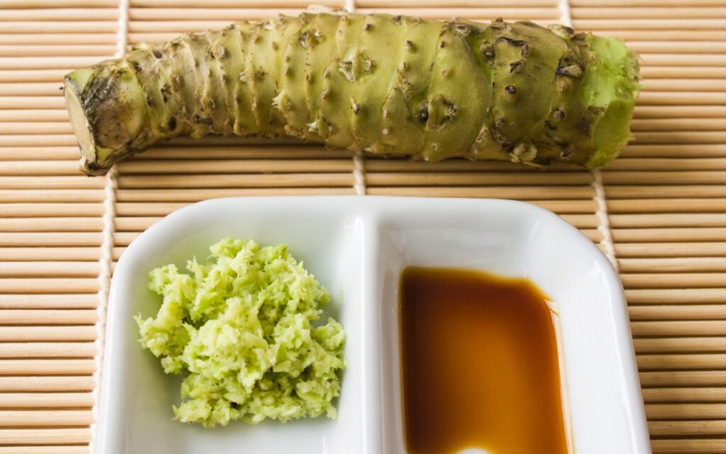 Bumbu Khas Jepang Memiliki Rasa Pedas Wasabi