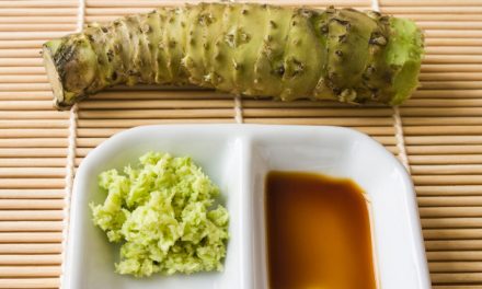 Bumbu Khas Jepang Memiliki Rasa Pedas Wasabi