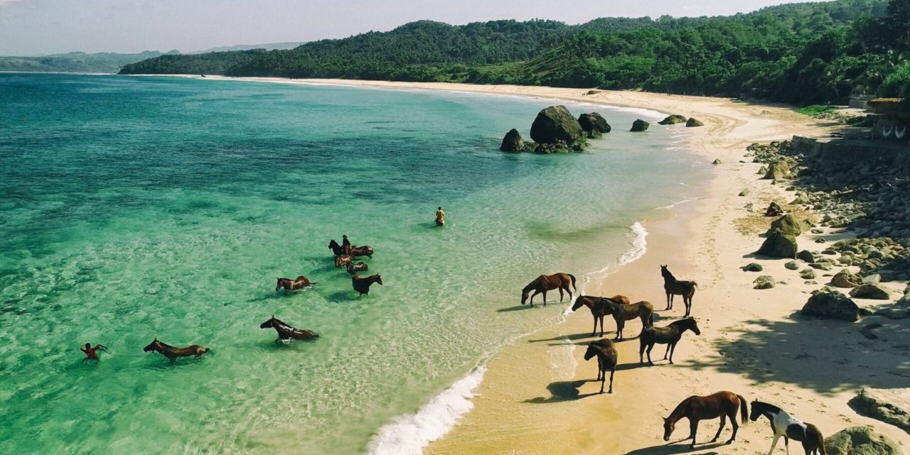 Eksotisme Pulau Sumba, Tradisi, Alam Dan Budaya