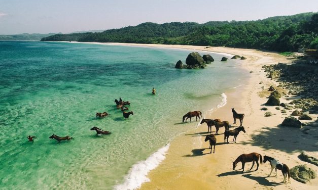 Eksotisme Pulau Sumba, Tradisi, Alam Dan Budaya
