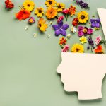 Mental Health Sangat Berpengaruh Signifikan Pada Seseorang