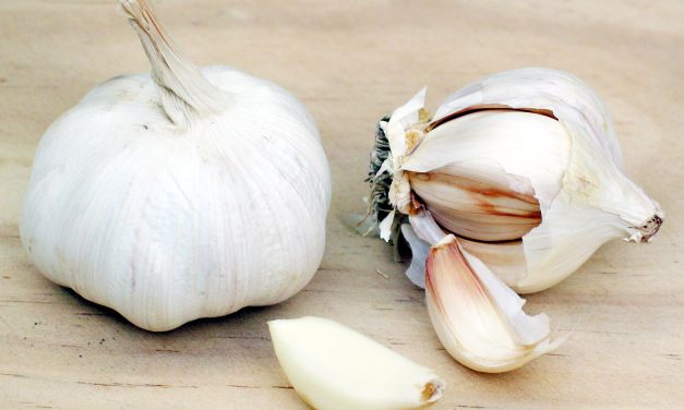 Allium Sativum Memiliki Banyak Manfaat, Simak Penjelasannya!