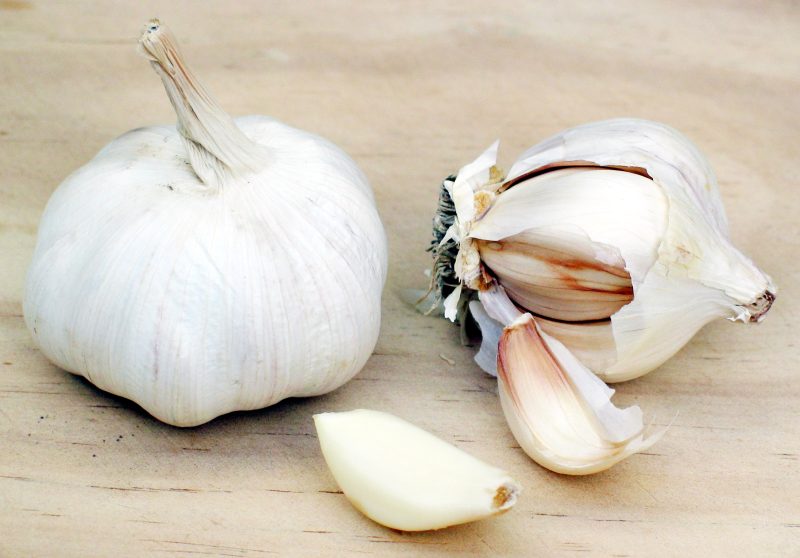 Allium Sativum