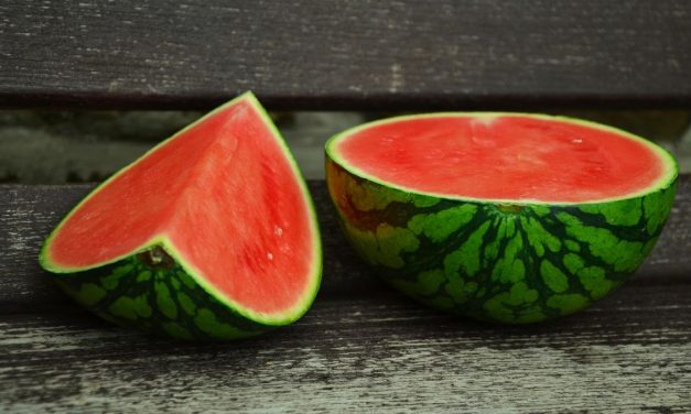 Sejuta Manfaat Buah Semangka Untuk Tubuh Anda
