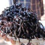 Tarantula Goreng Makanan Eksotis Yang Nikmat