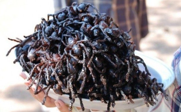 Tarantula Goreng Makanan Eksotis Yang Nikmat