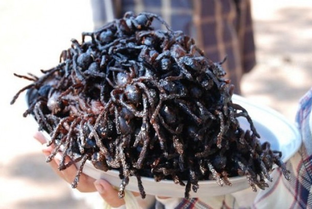 Tarantula Goreng Makanan Eksotis Yang Nikmat